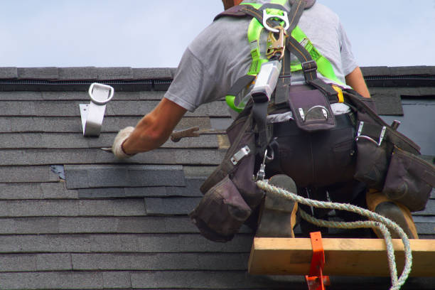 Best Shingle Roofing Installation  in Leitchfield, KY