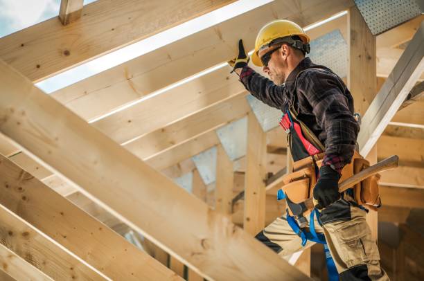 Best Roof Gutter Cleaning  in Leitchfield, KY